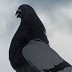 Foto del perfil de Jacinto HARTMAN Pérez