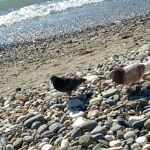img_20250307_121508_611