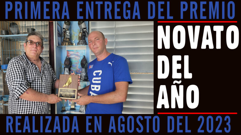 01-primer-novato-de-ano