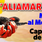anuncio-web-aliamarillo