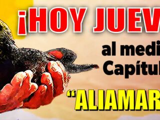 anuncio web aliamarillo 3