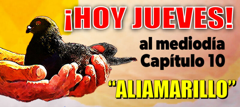 anuncio-web-aliamarillo-3