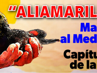 anuncio web aliamarillo