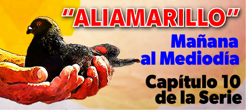 anuncio-web-aliamarillo