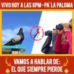 anuncio-vivo-de-jueces