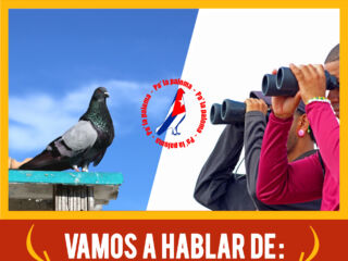 anuncio vivo de Jueces