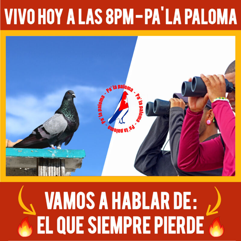 anuncio-vivo-de-jueces