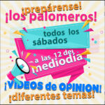 para-anuncio-de-temas-2